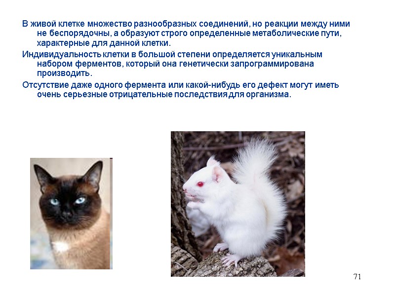 71 В живой клетке множество разнообразных соединений, но реакции между ними не беспорядочны, а